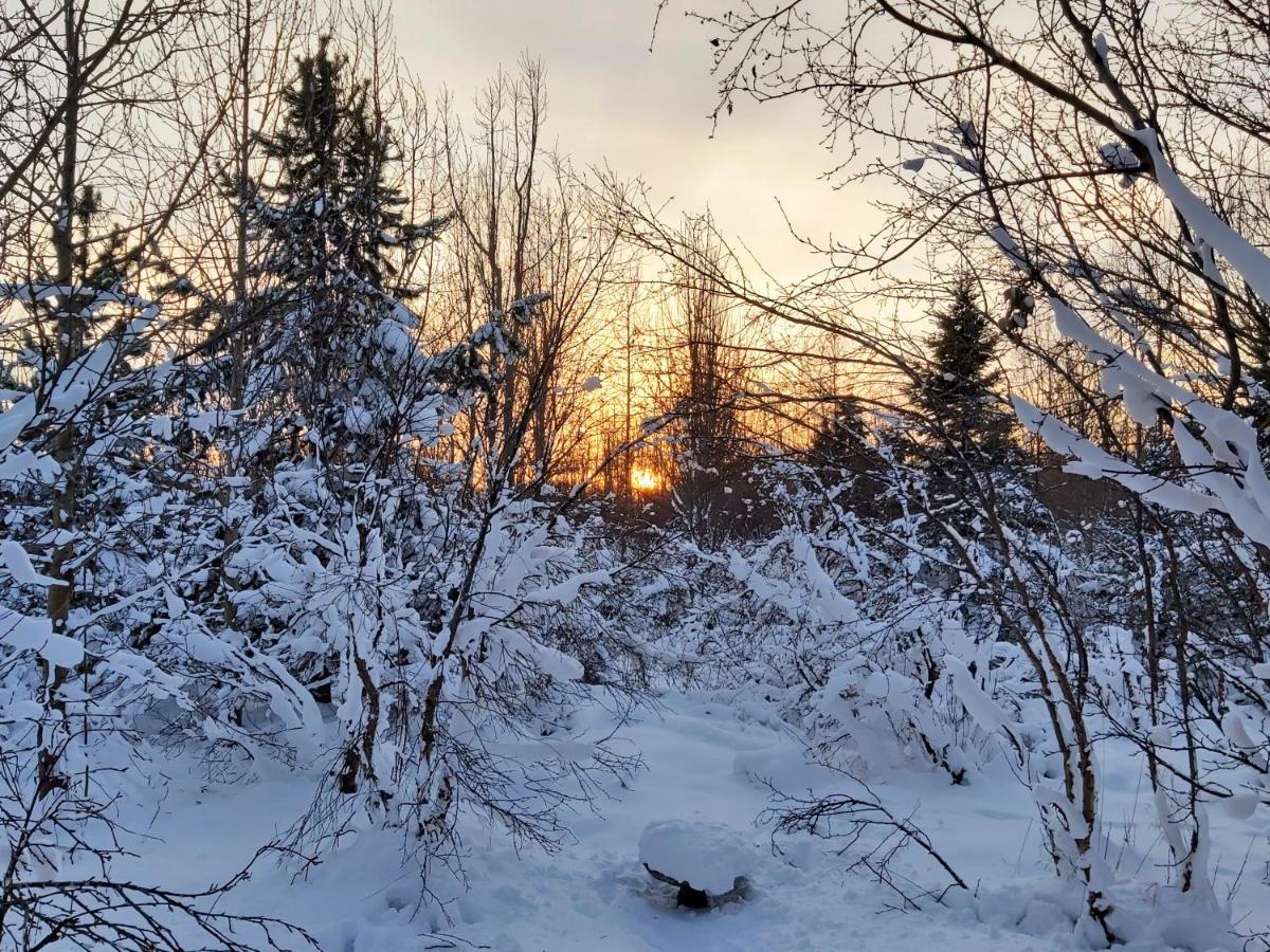 Bakkakot 2 - Cozy In The Woods * Akureyri
