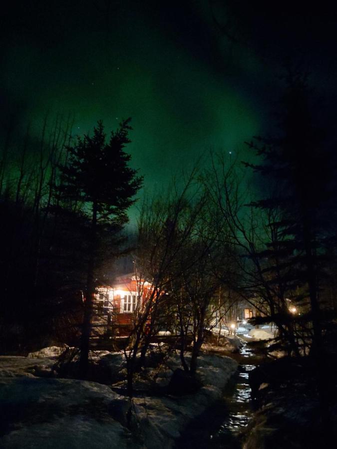 Bakkakot 2 - Cozy In The Woods * Akureyri