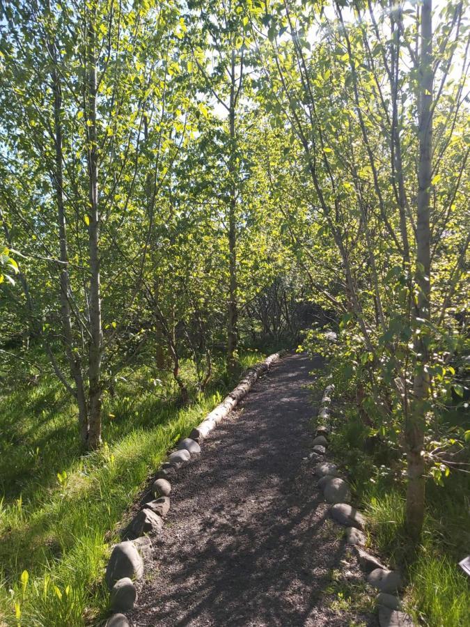 Bakkakot 2 - Cozy In The Woods Akureyri