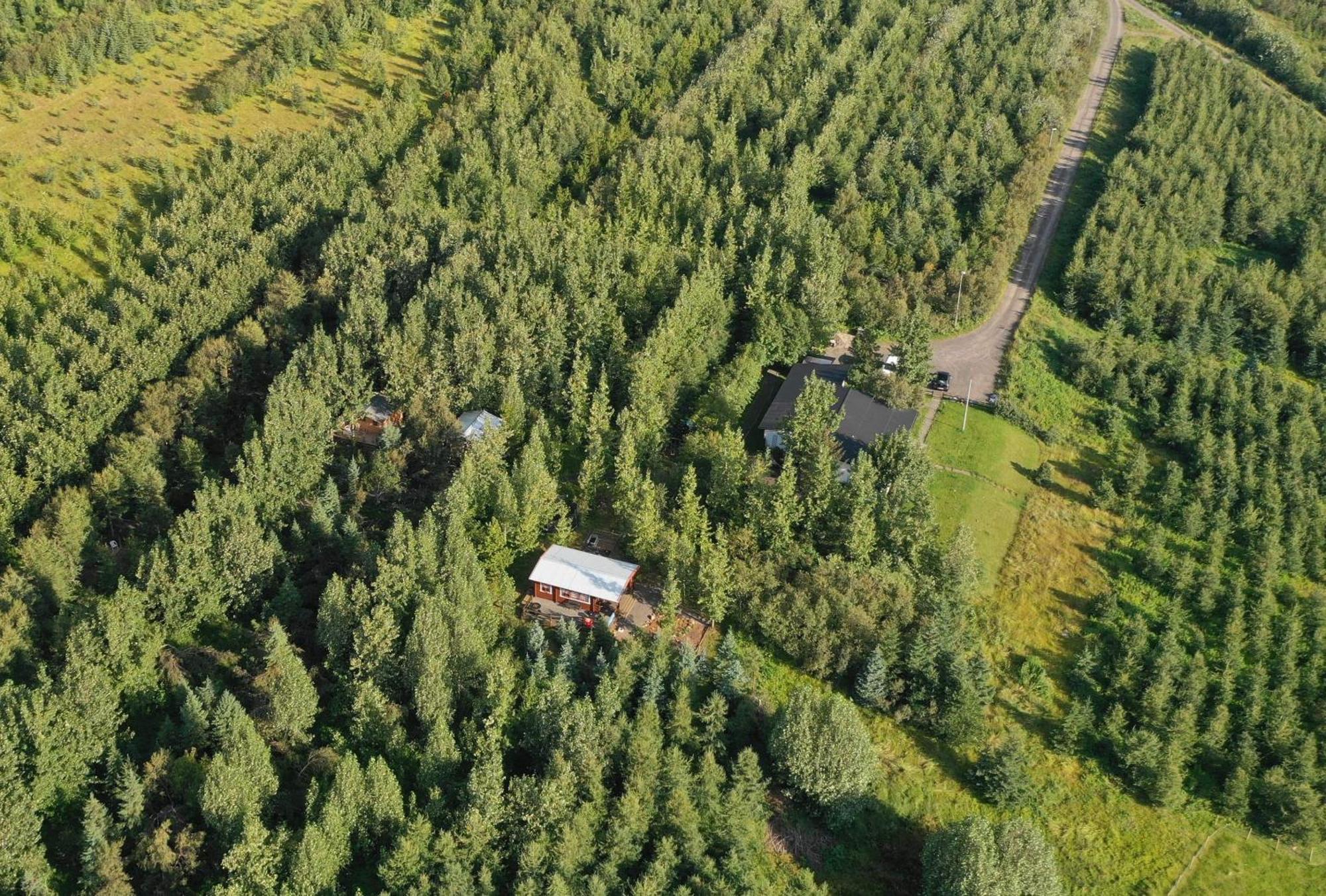 Bakkakot 2 - Cozy In The Woods Lodge Akureyri
