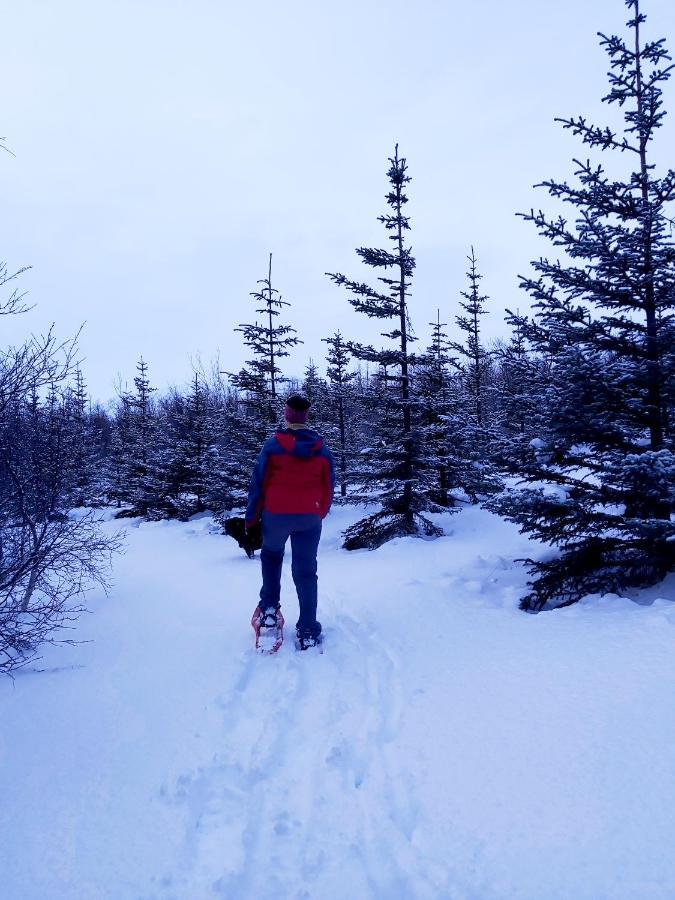 Lodge Bakkakot 2 - Cozy In The Woods Akureyri